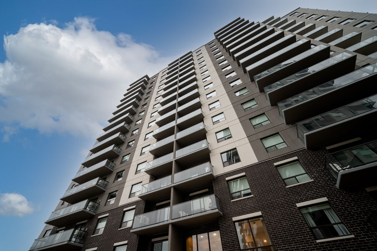 Starlight Investment Vehicles